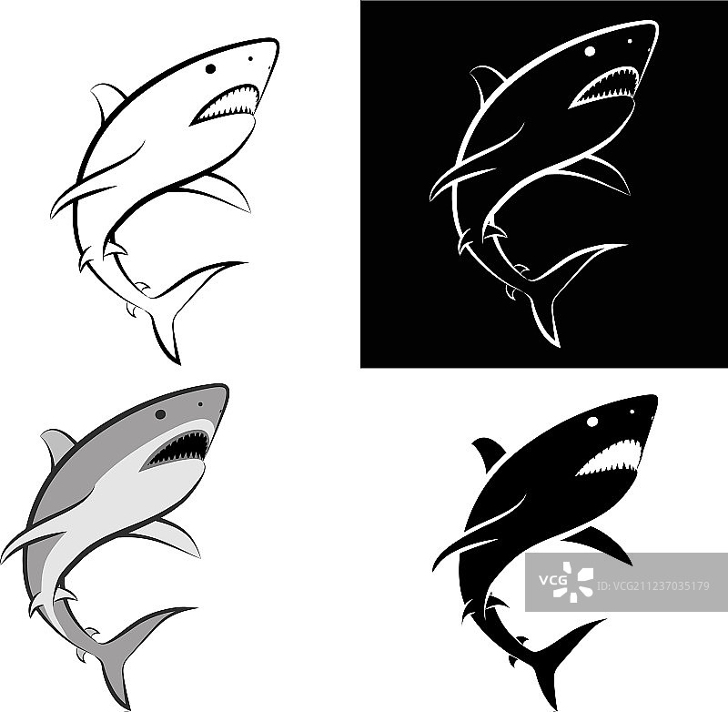 鲨鱼图片素材