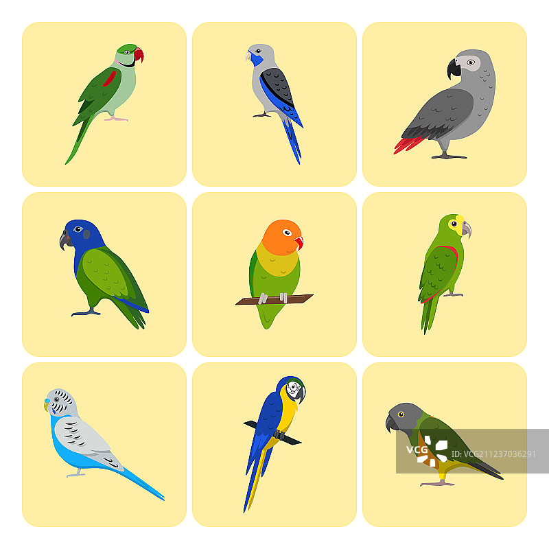 彩色鹦鹉图标合集图片素材