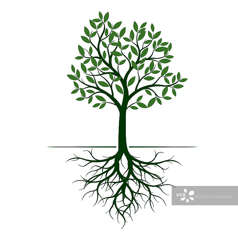 带树根的绿树图片素材