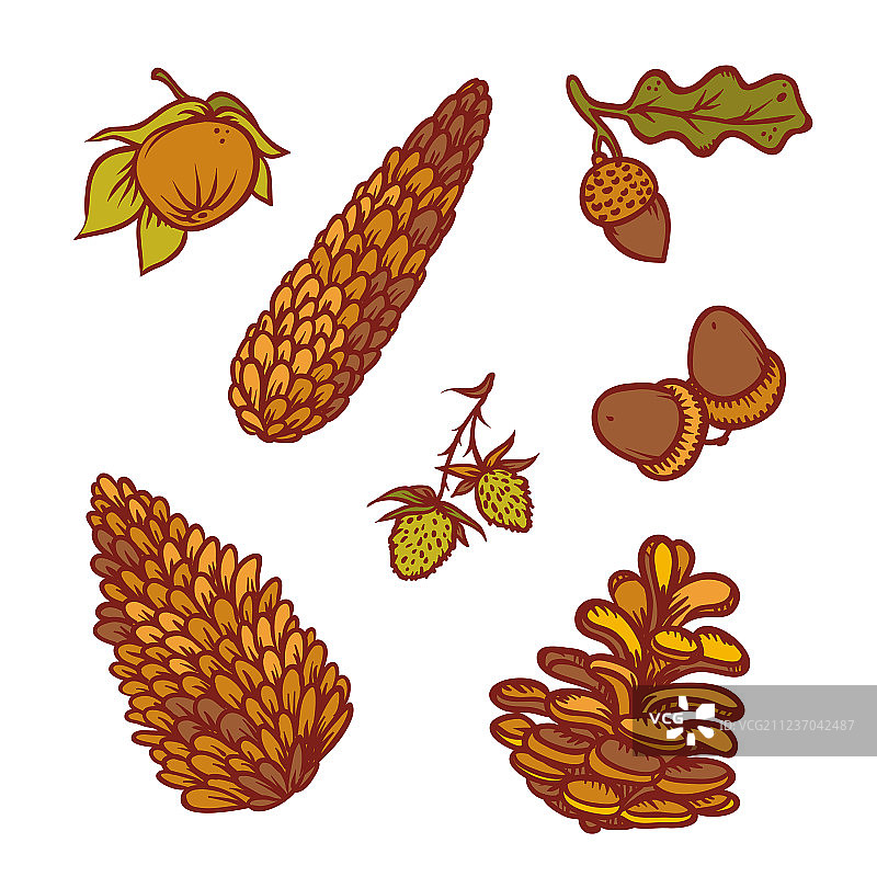 秋季松果和橡子森林素材图片素材