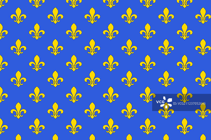 法国塞纳-圣但尼圣但尼市的旗帜图片素材