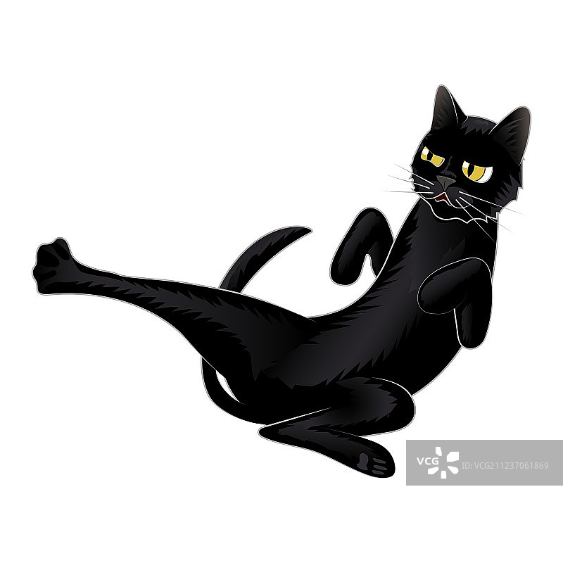 在白色背景上战斗的可爱黑猫图片素材