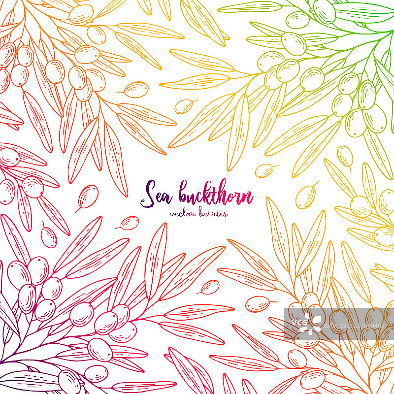 沙棘健康食品彩色边框图片素材