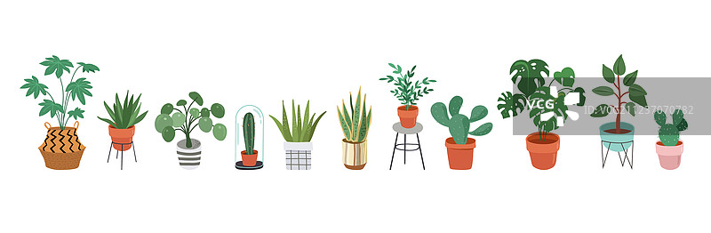 城市丛林时尚家居装饰与植物图片素材