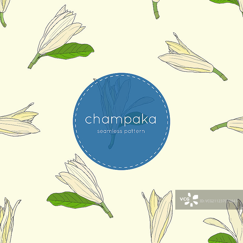 白色白兰花无缝图案图片素材