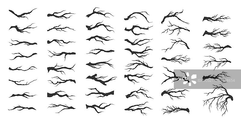 干燥的树枝组合图片素材