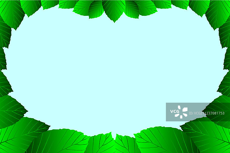 榉树叶框架图片素材