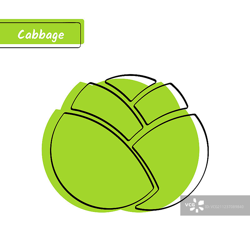 含独立白菜的蔬菜教育卡片图片素材
