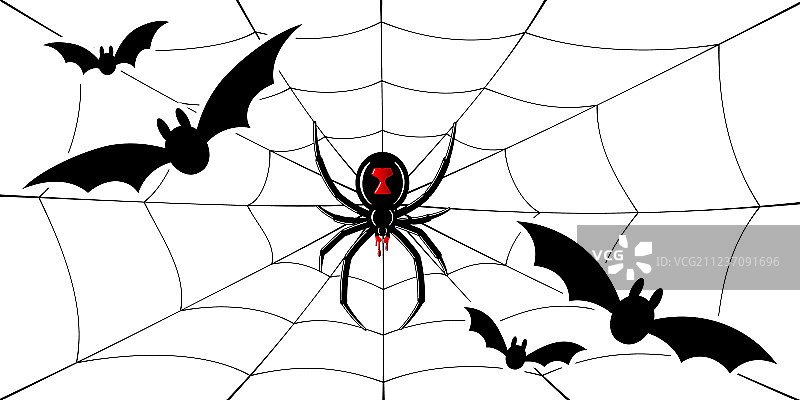 黑寡妇蜘蛛、蛛网、蝙蝠、红色和黑色蜘蛛图片素材