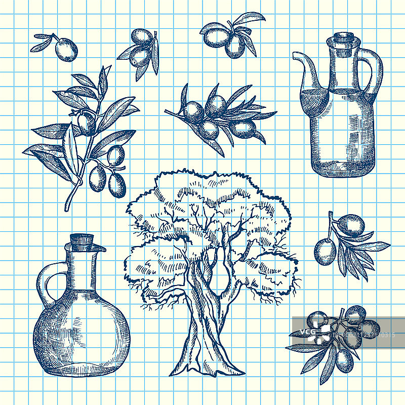 手绘橄榄枝、瓶子和树木图片素材