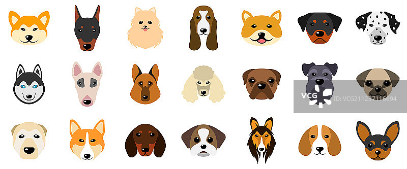 不同品种的狗头像集合图片素材