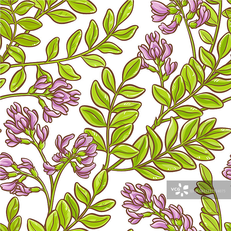 黄芪图案图片素材