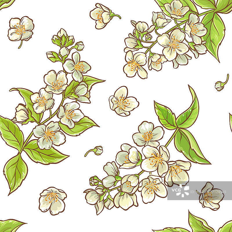 茉莉花枝图案图片素材