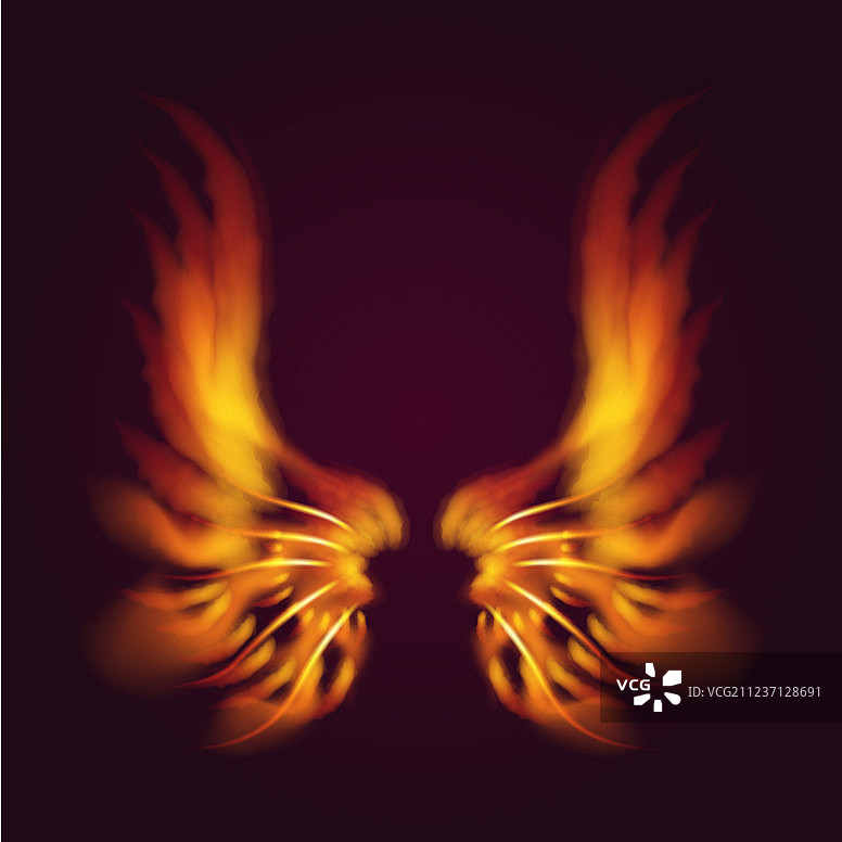 火焰鸟翅膀奇幻羽毛燃烧飞翔图片素材