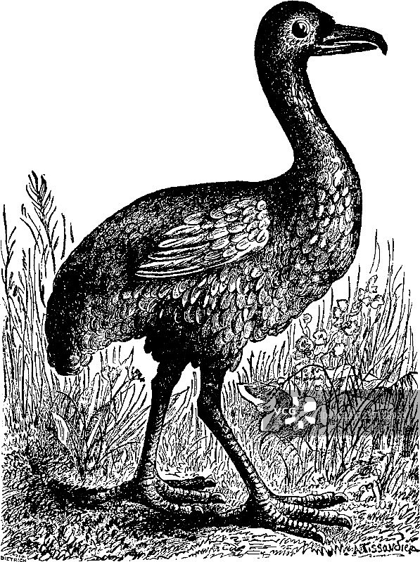 复古单人纸牌图片素材