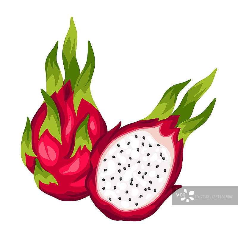 白色背景上的火龙果图片素材
