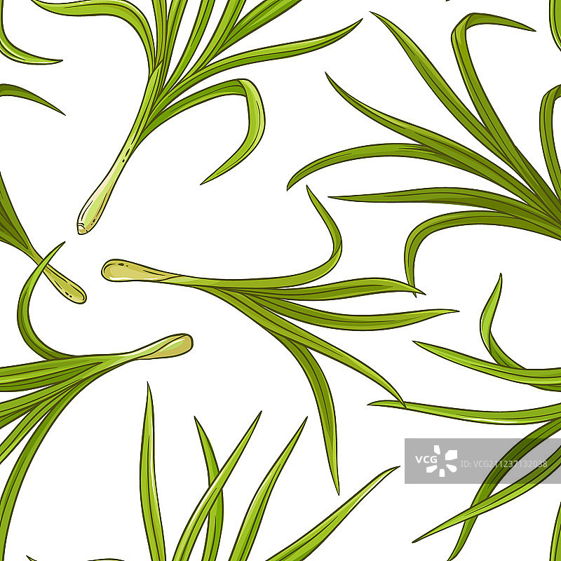 香茅植物图案图片素材