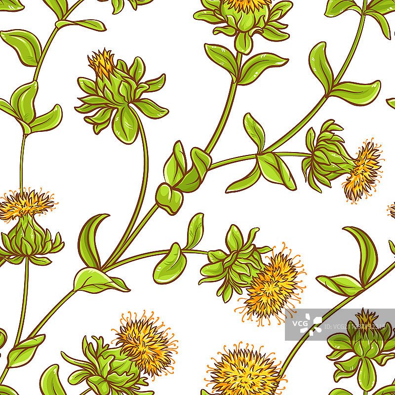 红花植物图案图片素材