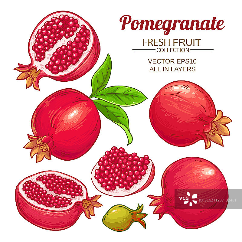 石榴水果合集图片素材