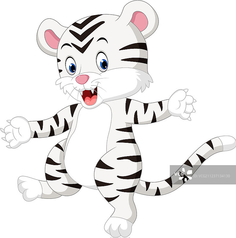 可爱的小白虎图片素材