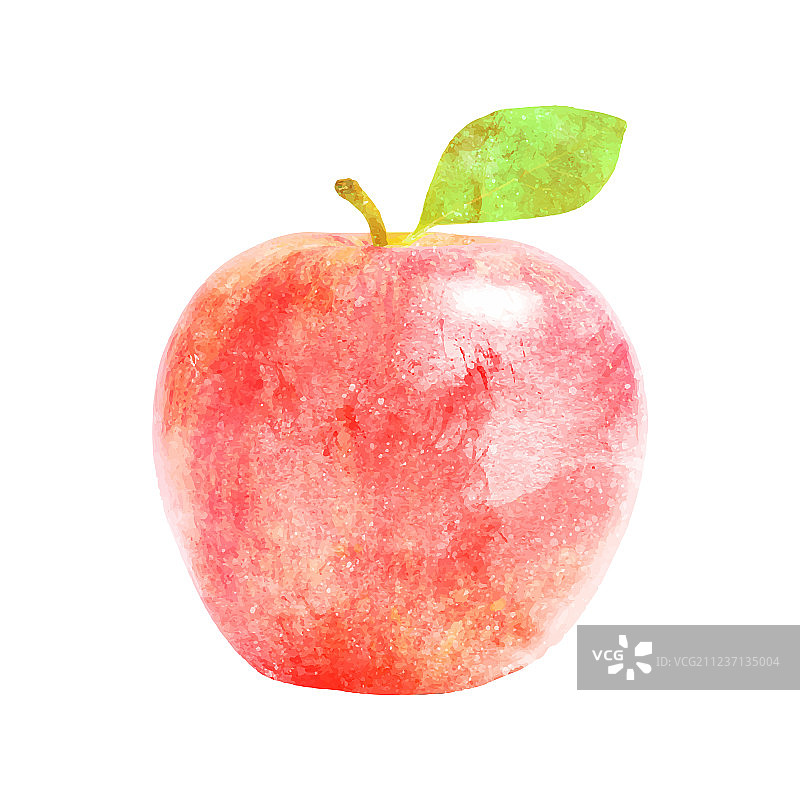 白色背景上的水彩红色苹果和叶子图片素材