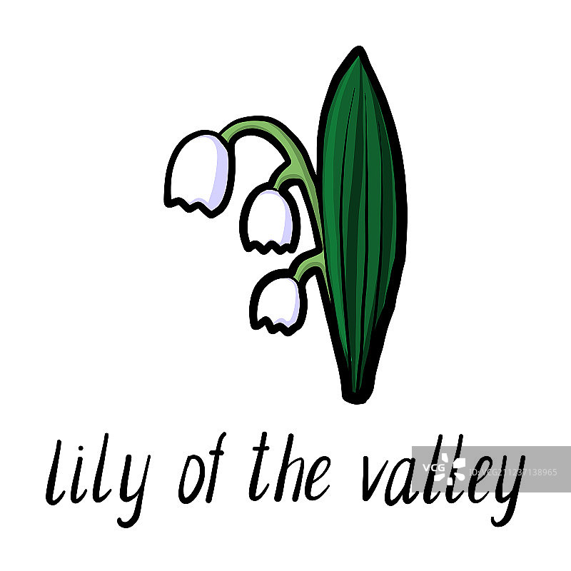 铃兰花图片素材