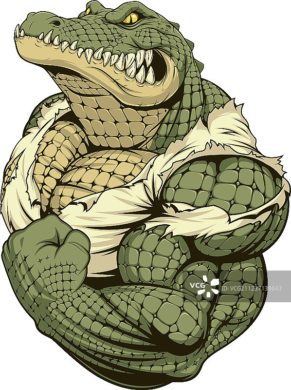 凶猛强壮的鳄鱼图片素材