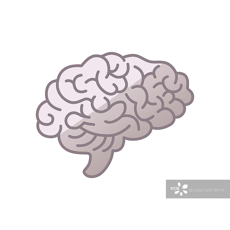 智慧研究人脑图标符号图片素材