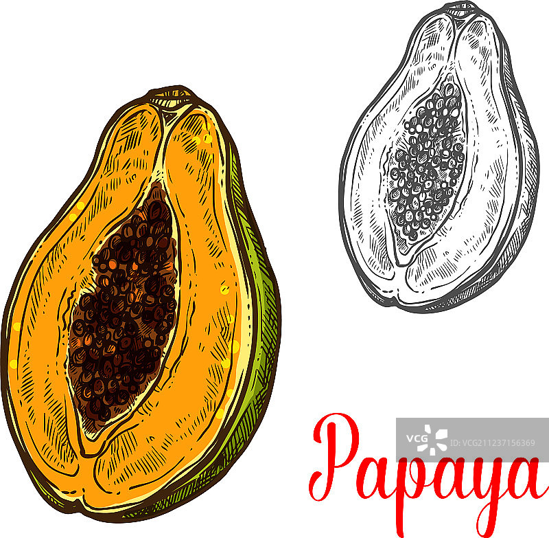 异域热带浆果木瓜果实图片素材