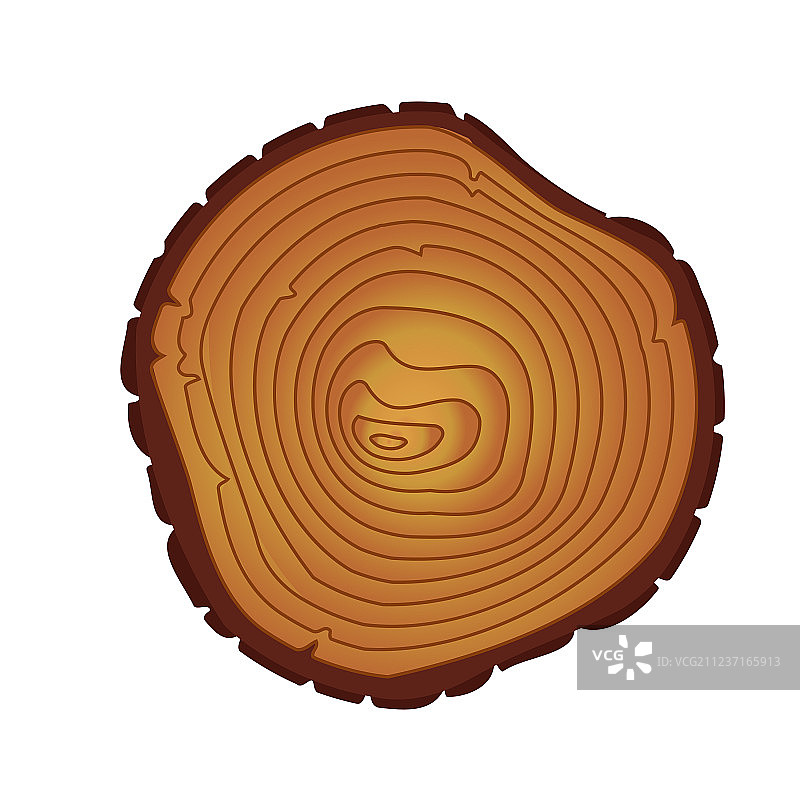 树木年轮锯切树干图片素材