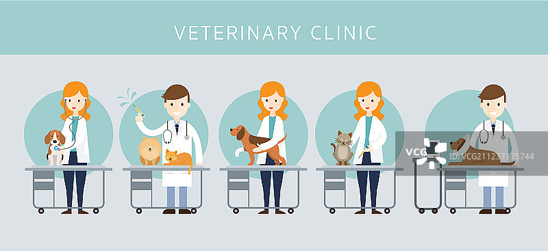 男女兽医检查宠物图片素材