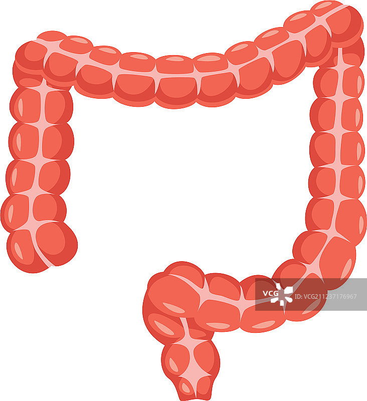 大肠图片素材