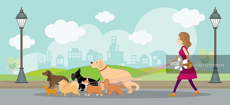 在公园里和一群狗在一起的女人图片素材