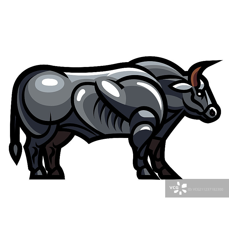 比利时蓝牛图片素材