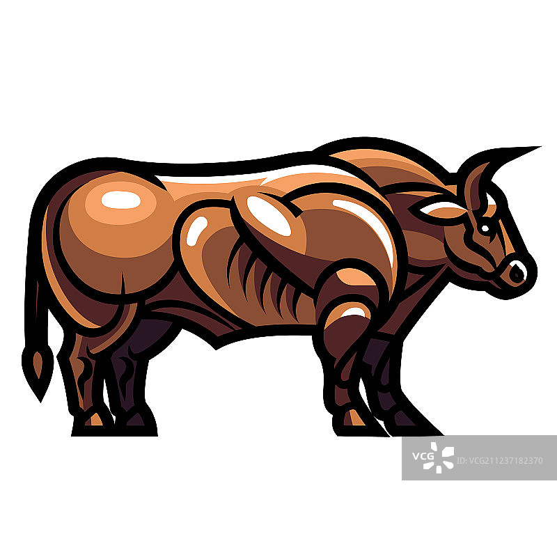 站立的健壮公牛图片素材