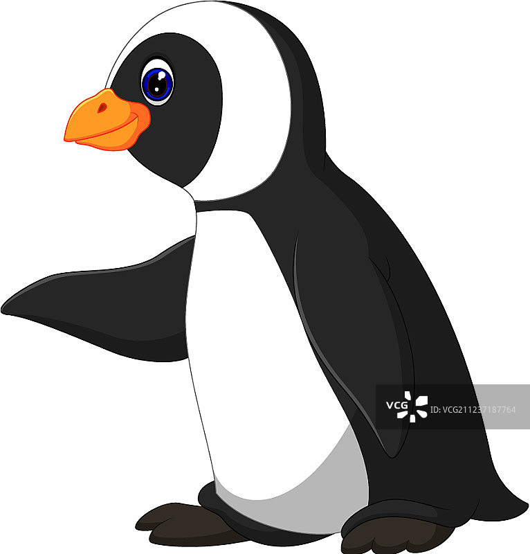 可爱有趣的帝企鹅图片素材