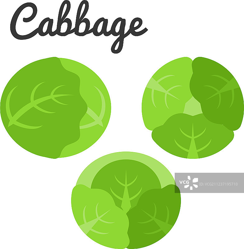 三种不同卷心菜图标合集图片素材