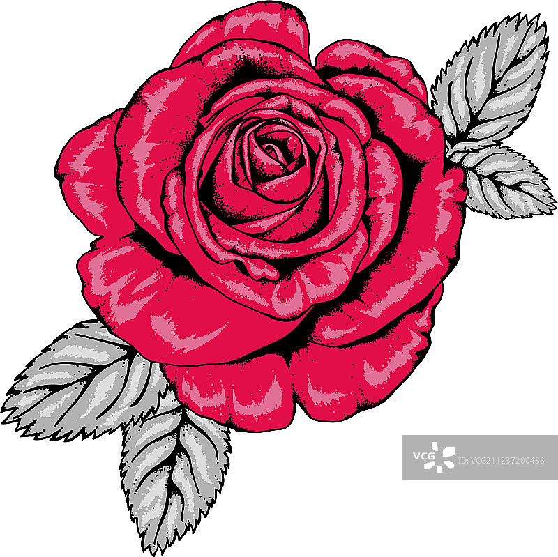 黑色轮廓的红色玫瑰纹身V3图片素材