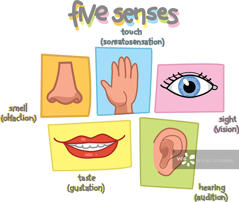五种感官图片素材