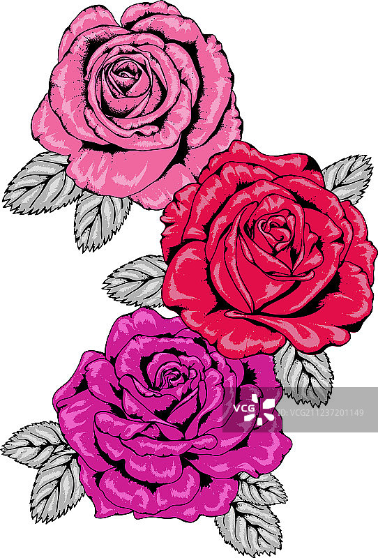 粉色、红色和紫色纹身风格玫瑰三重奏图片素材