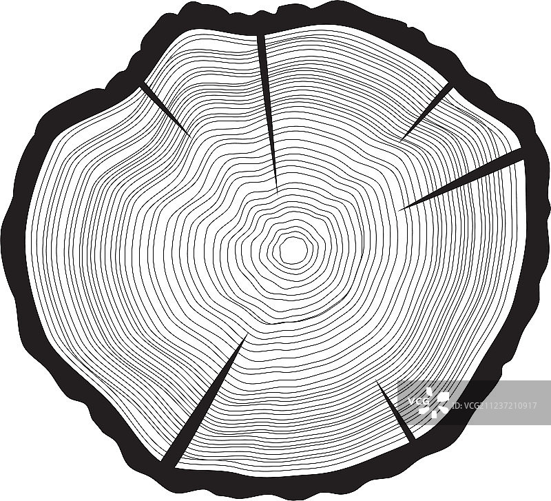 树木年轮背景图片素材