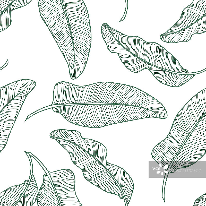 香蕉叶热带无缝图案图片素材