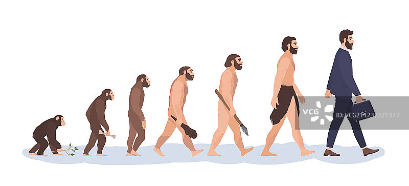 人类进化阶段演变过程图片素材