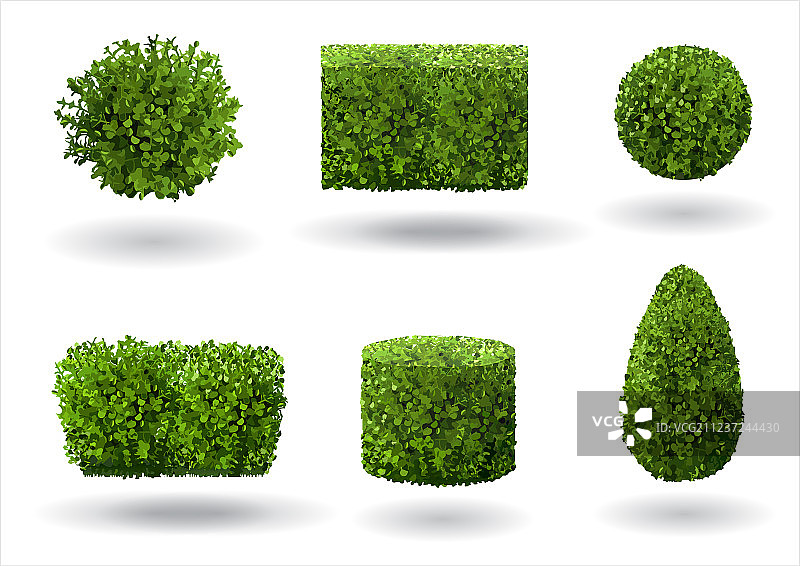 装饰植物套装图片素材