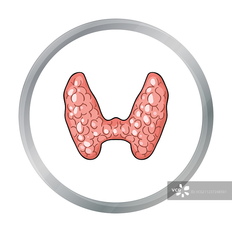 卡通风格的人体甲状腺图标图片素材
