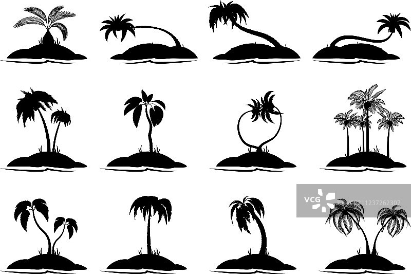 带有成熟树叶的热带棕榈树素材图片素材