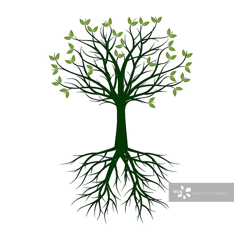 带树根的绿树图片素材