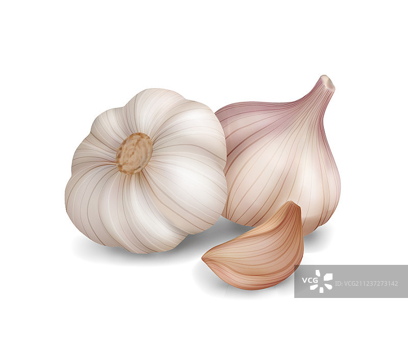 白色背景上逼真的大蒜图片素材