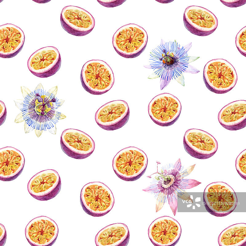 水彩百香果图案图片素材