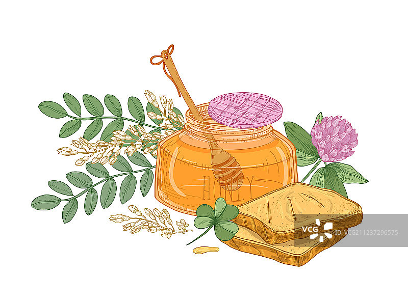 蜂蜜罐中勺子绘画图片素材